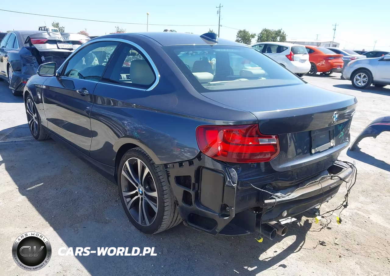 2017 BMW 230I VIN:WBA2F9C59HV664327 - 3