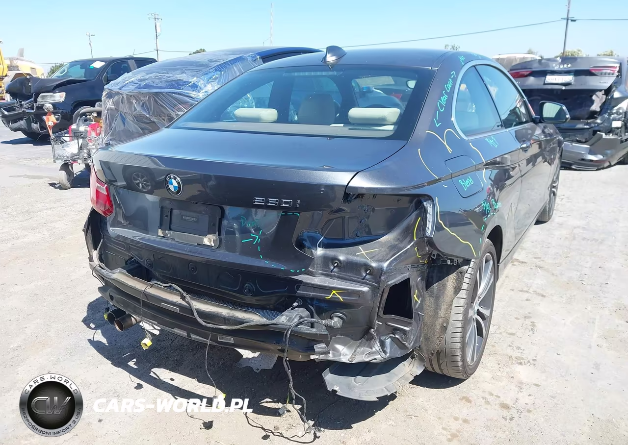 2017 BMW 230I VIN:WBA2F9C59HV664327 - 6