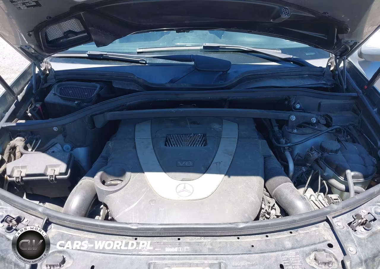 2010 Mercedes-Benz Gl 450 4Matic VIN:4JGBF7BE1AA540988 - 10