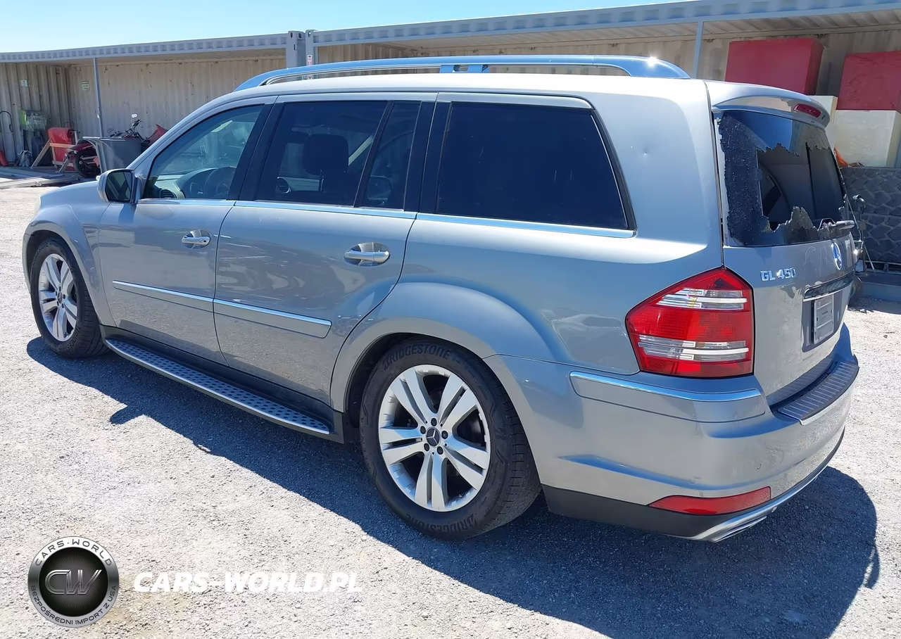 2010 Mercedes-Benz Gl 450 4Matic VIN:4JGBF7BE1AA540988 - 3