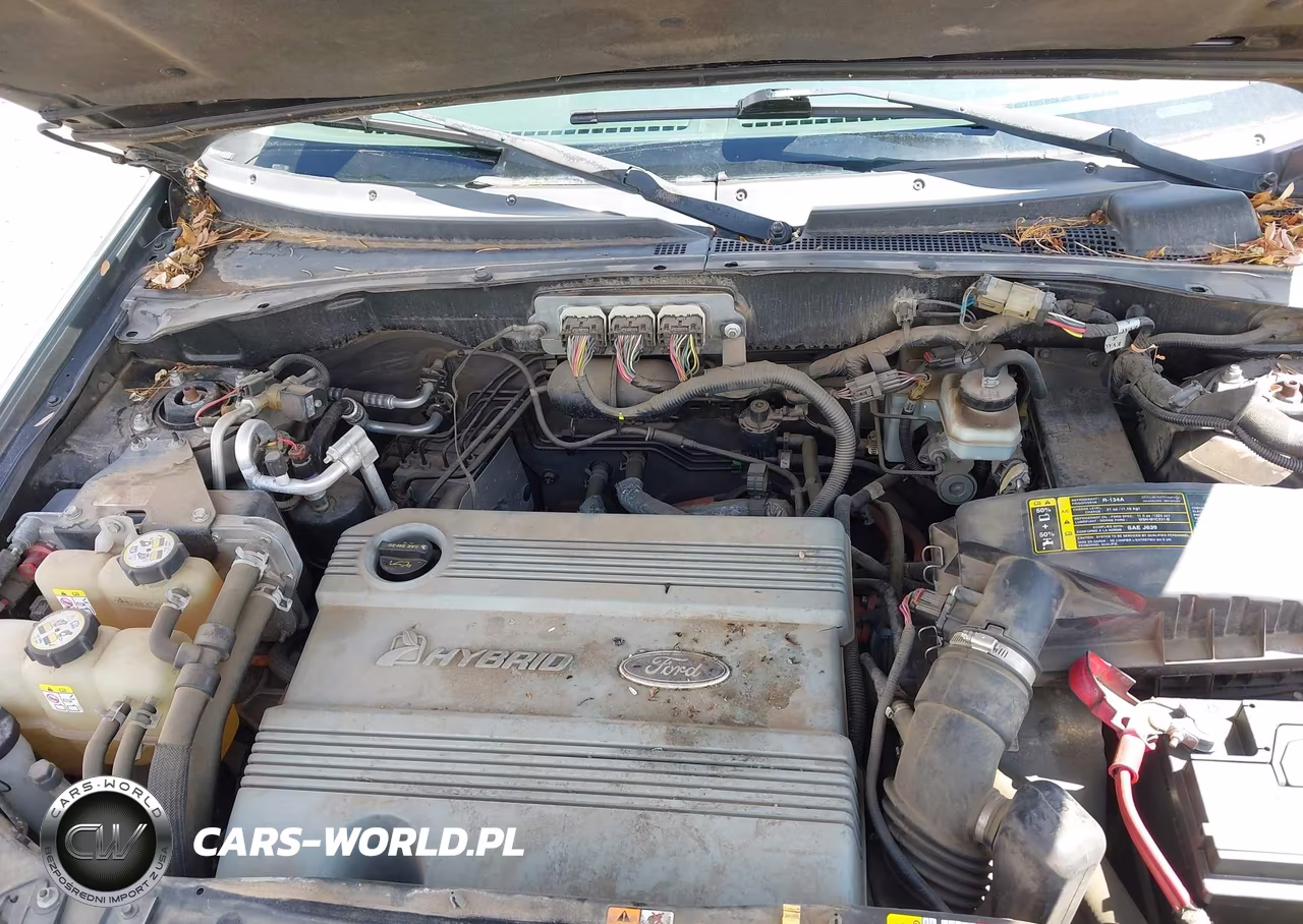 2006 Ford Escape Hybrid VIN:1FMCU96H36KC08756 - 10