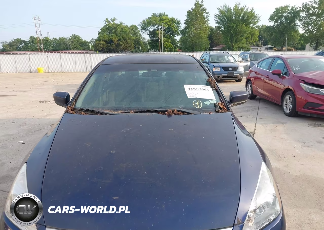 2007 Honda Accord 3.0 Se VIN:1HGCM66437A079863 - 6