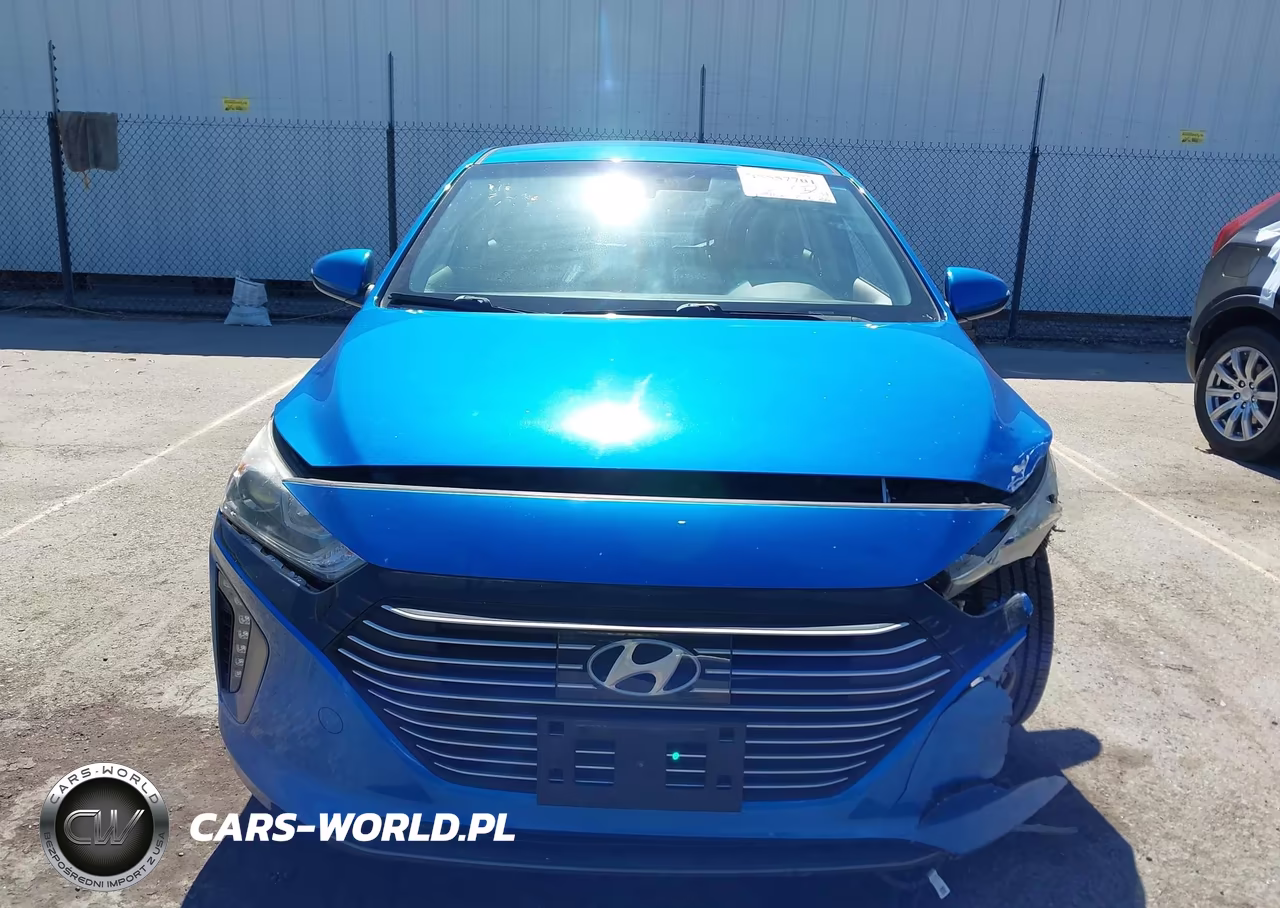 2018 Hyundai Ioniq Hybrid Sel VIN:KMHC75LC1JU061665 - 12