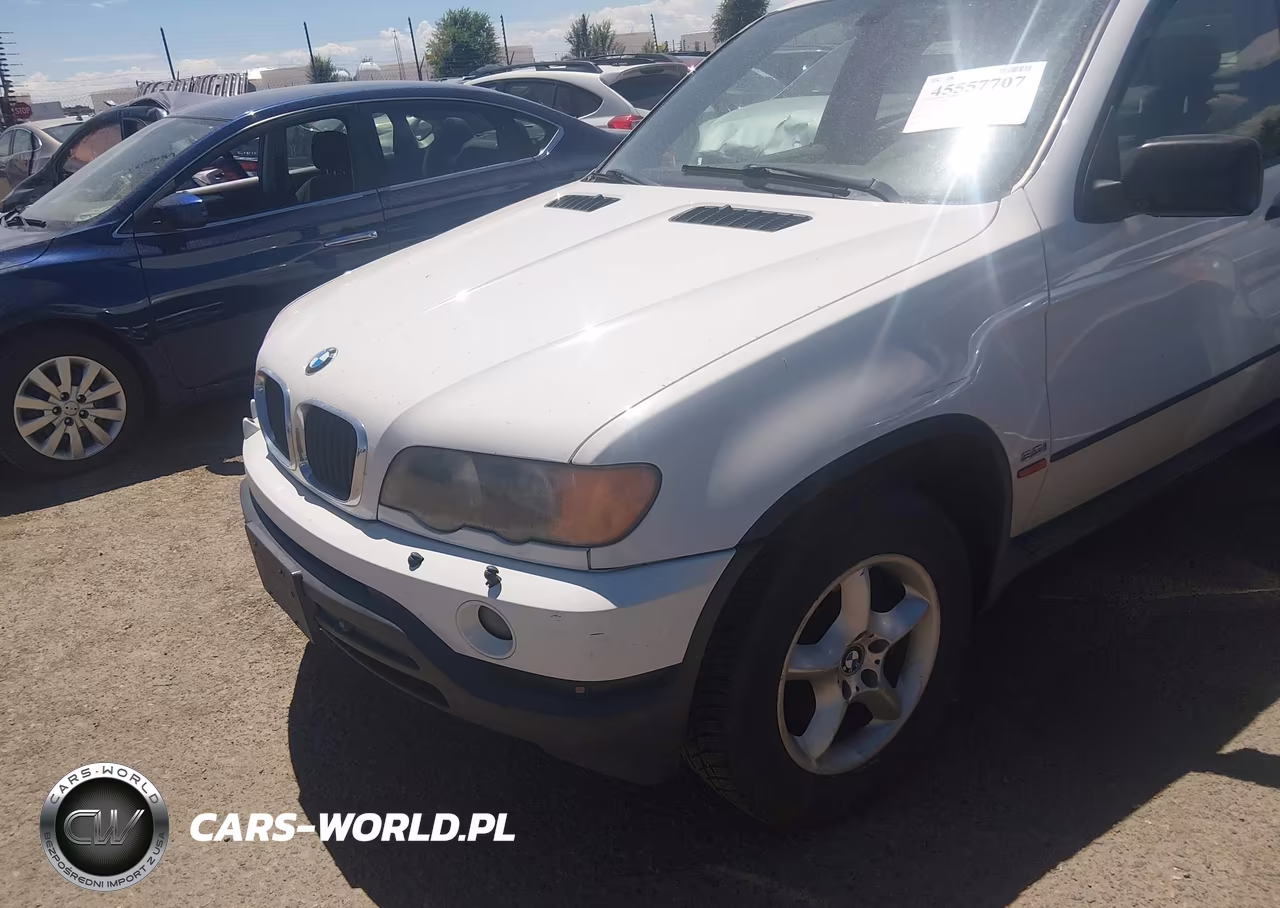 2001 BMW X5 3.0 VIN:WBAFA53531LM85159 - 10