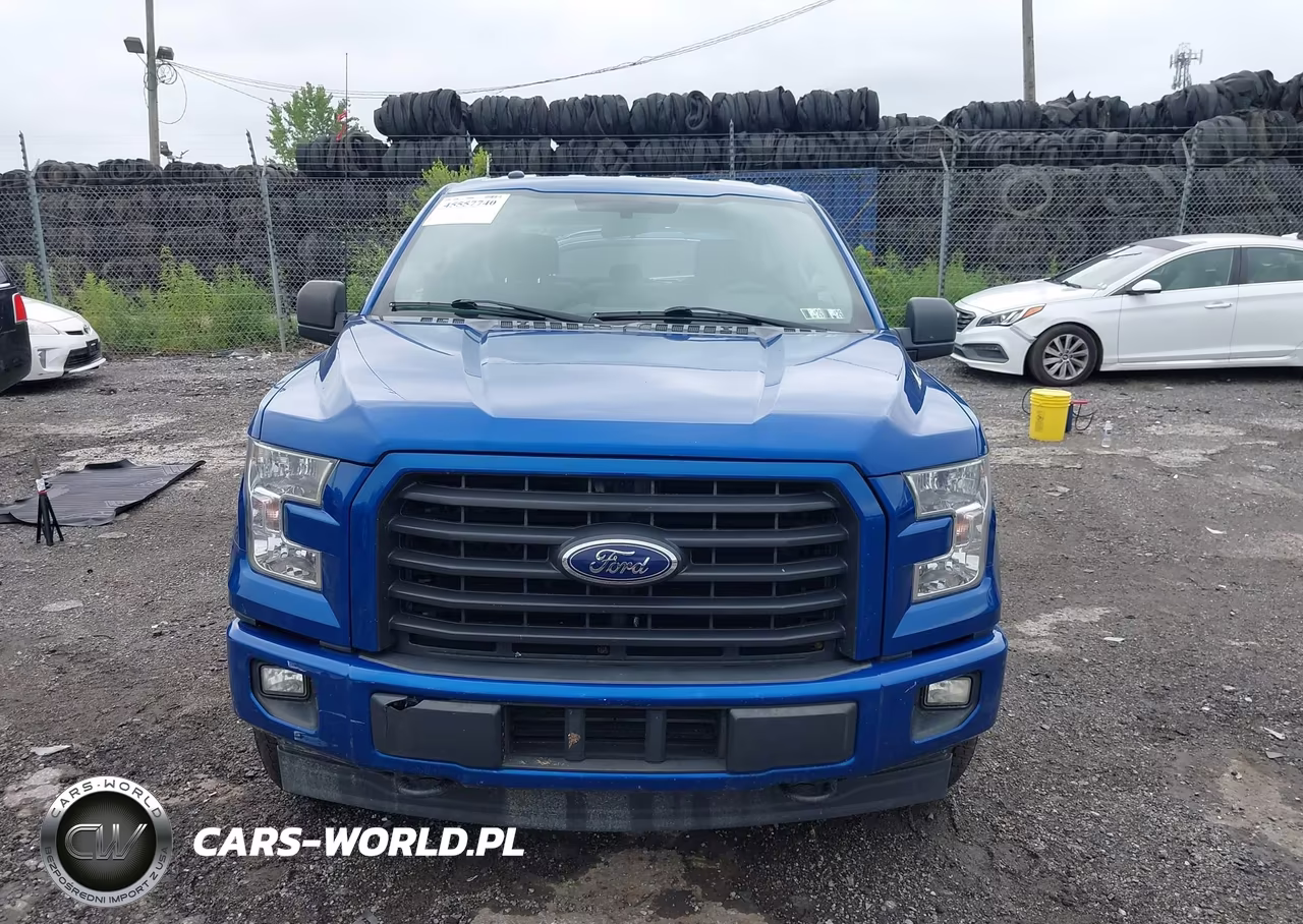 2017 Ford F-150 King Ranch-Lariat-Limited-Platinum-Xl-Xlt VIN:1FTEW1EG5HFB48685 - 13