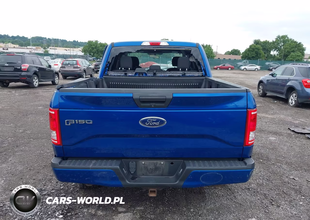 2017 Ford F-150 King Ranch-Lariat-Limited-Platinum-Xl-Xlt VIN:1FTEW1EG5HFB48685 - 17