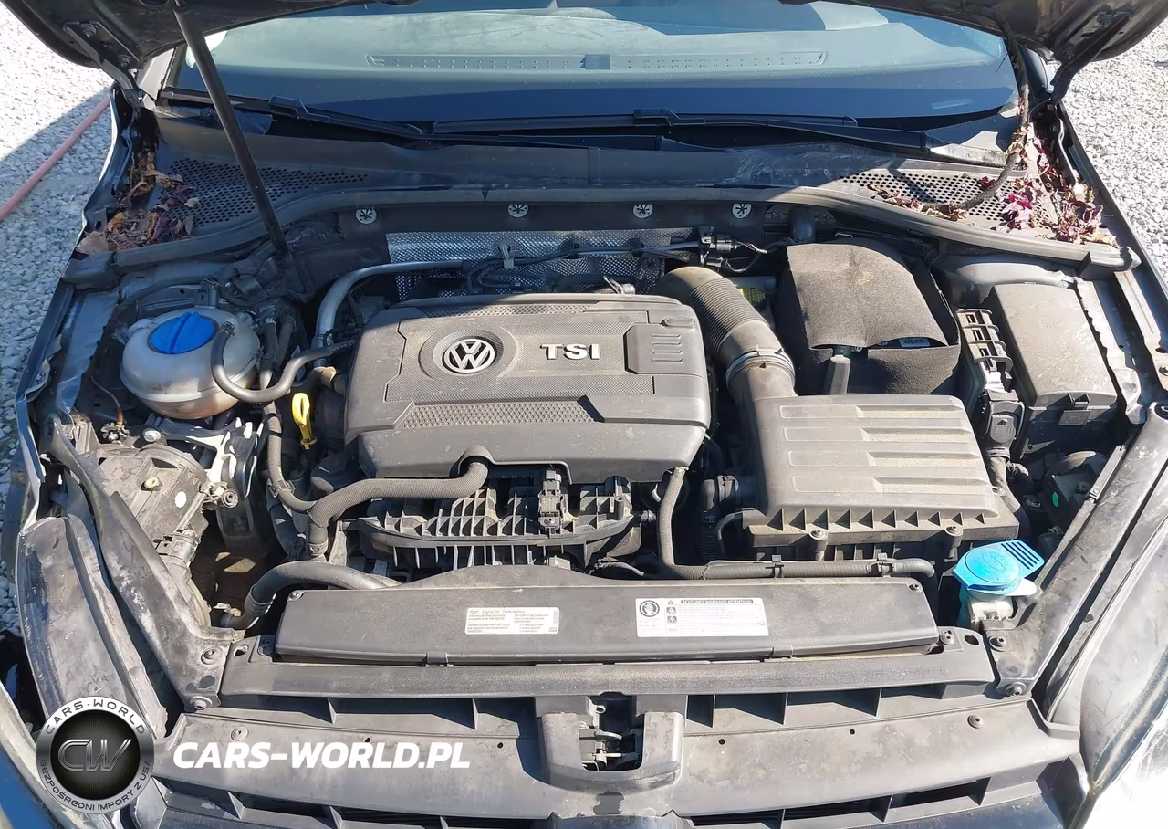 2016 Volkswagen Golf Tsi S 4-Door VIN:3VW217AU3GM042411 - 10