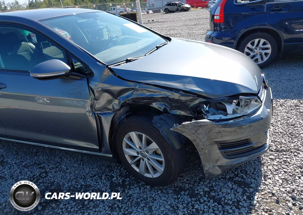 2016 Volkswagen Golf Tsi S 4-Door VIN:3VW217AU3GM042411 - 6