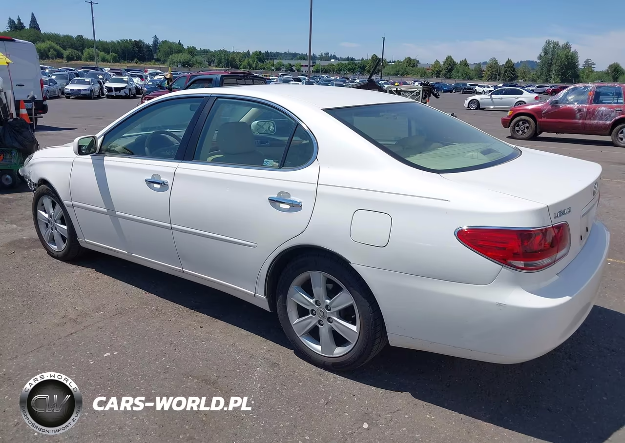 2005 Lexus Es 330 VIN:JTHBA30G655097542 - 3