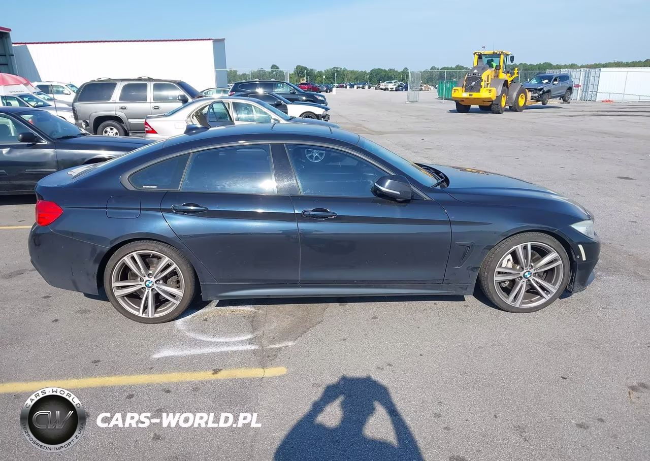 2015 BMW 435I Gran Coupe VIN:WBA4B1C52FD418048 - 13
