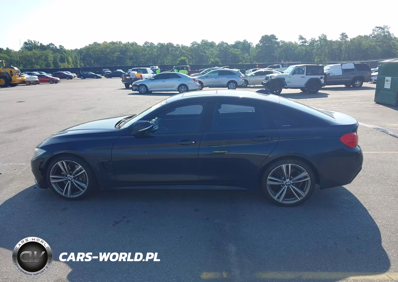2015 BMW 435I Gran Coupe VIN:WBA4B1C52FD418048 - 14