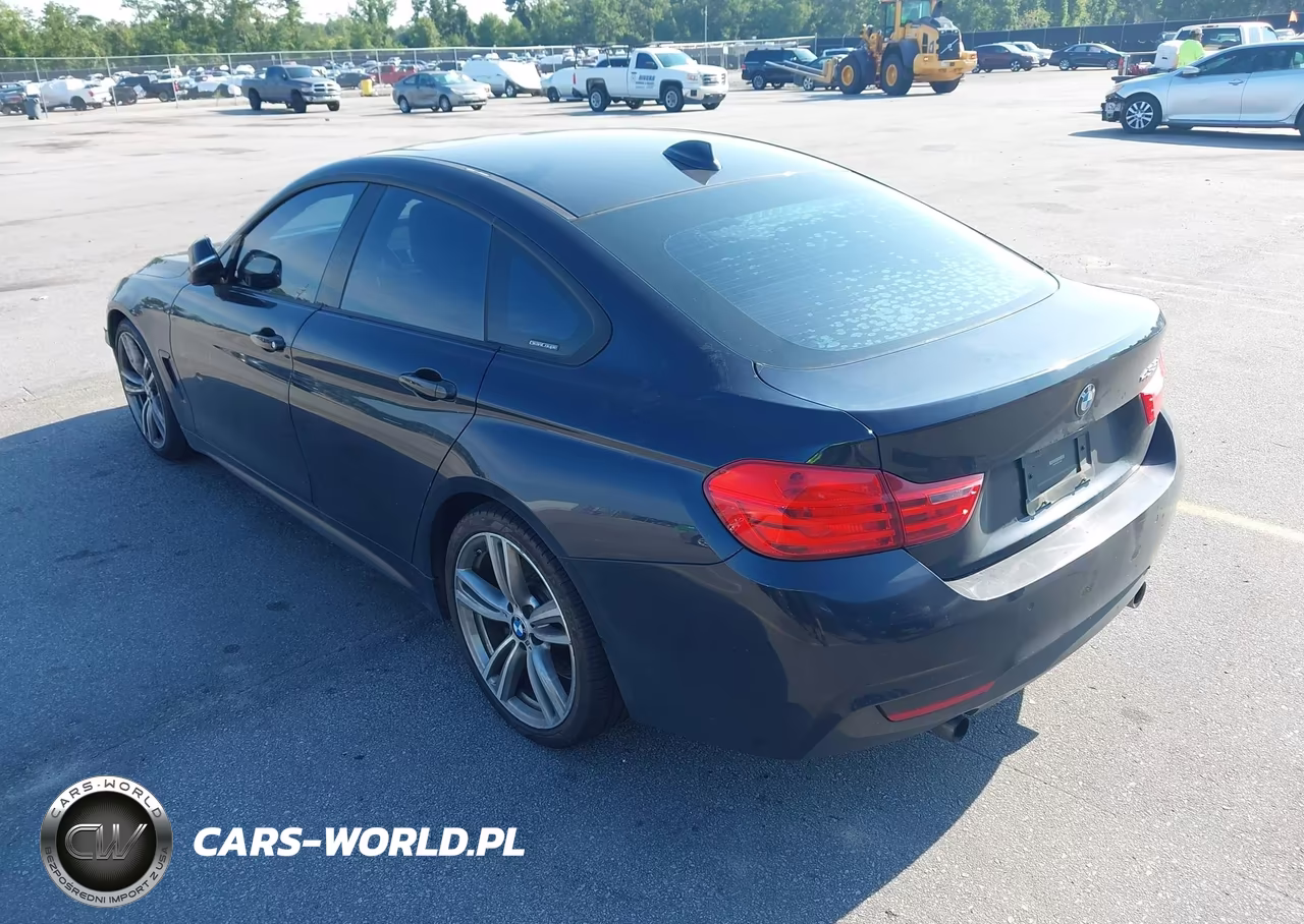 2015 BMW 435I Gran Coupe VIN:WBA4B1C52FD418048 - 3