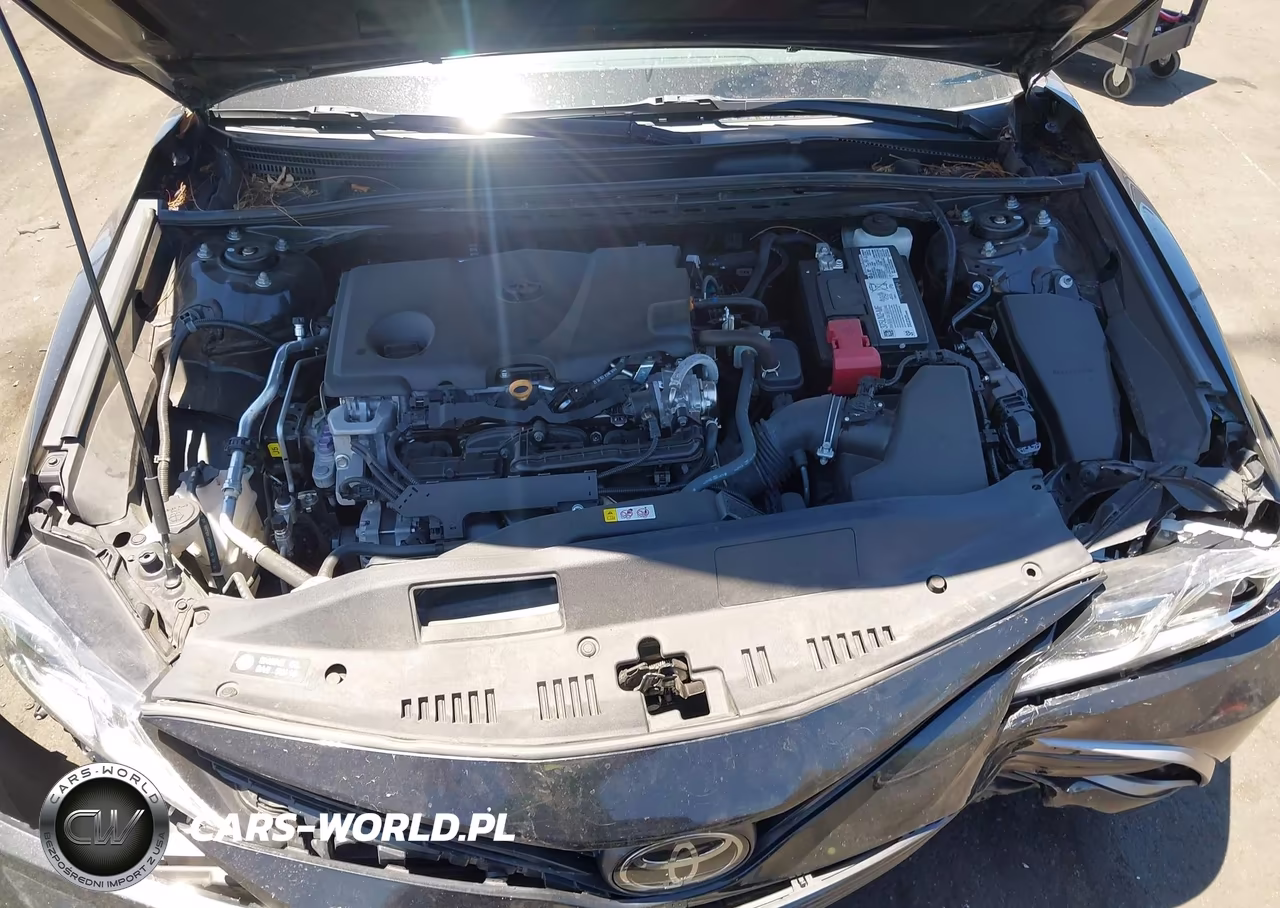 2021 Toyota Camry Le VIN:4T1C11AK1MU497358 - 10