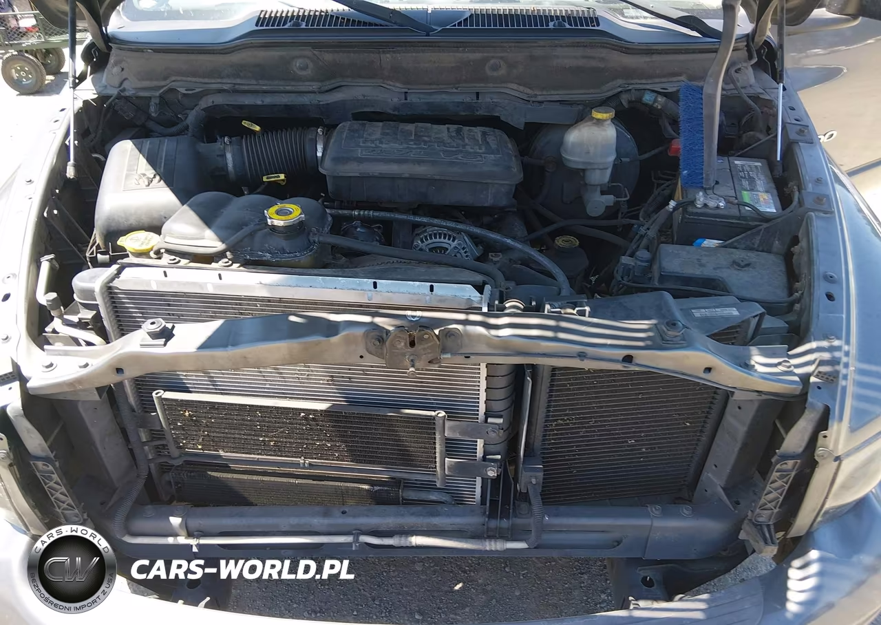 2002 Dodge Ram 1500 St VIN:1D7HU18N92J252443 - 10
