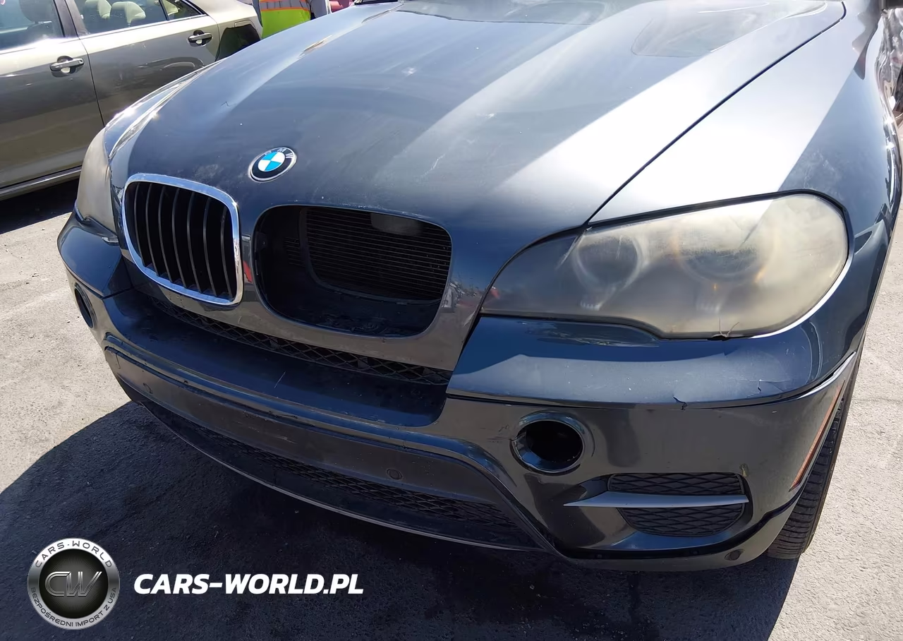 2012 BMW X5 xDrive35I-xDrive35I Premium-xDrive35I Sport Activity VIN:5UXZV4C55CL764354 - 13