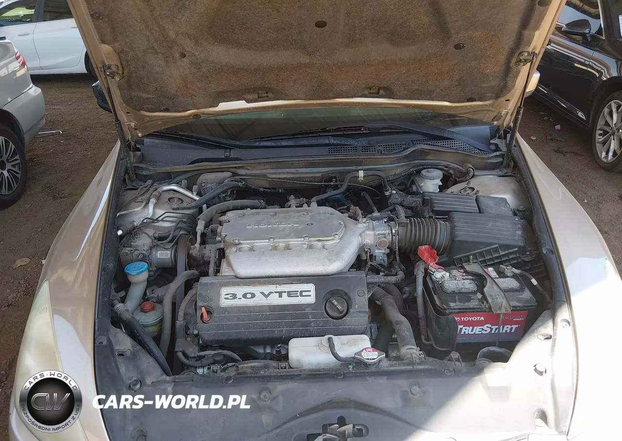 2004 Honda Accord 3.0 Lx VIN:1HGCM66324A066895 - 10