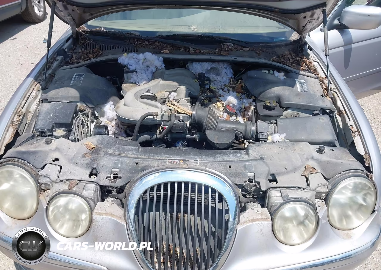 2000 Jaguar S-Type 3.0L V6 VIN:SAJDA01C4YFL61880 - 10