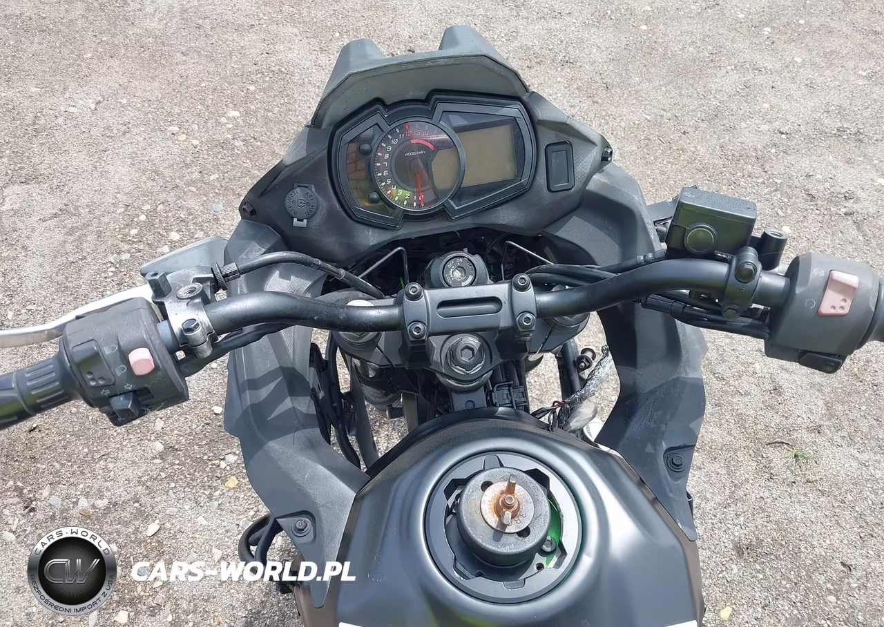 2017 Kawasaki Kle300 C VIN:JKALE8C15HDA00739 - 16