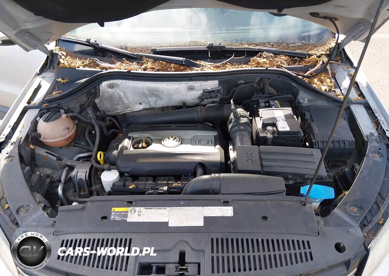 2013 Volkswagen Tiguan S VIN:WVGAV3AX2DW615974 - 10