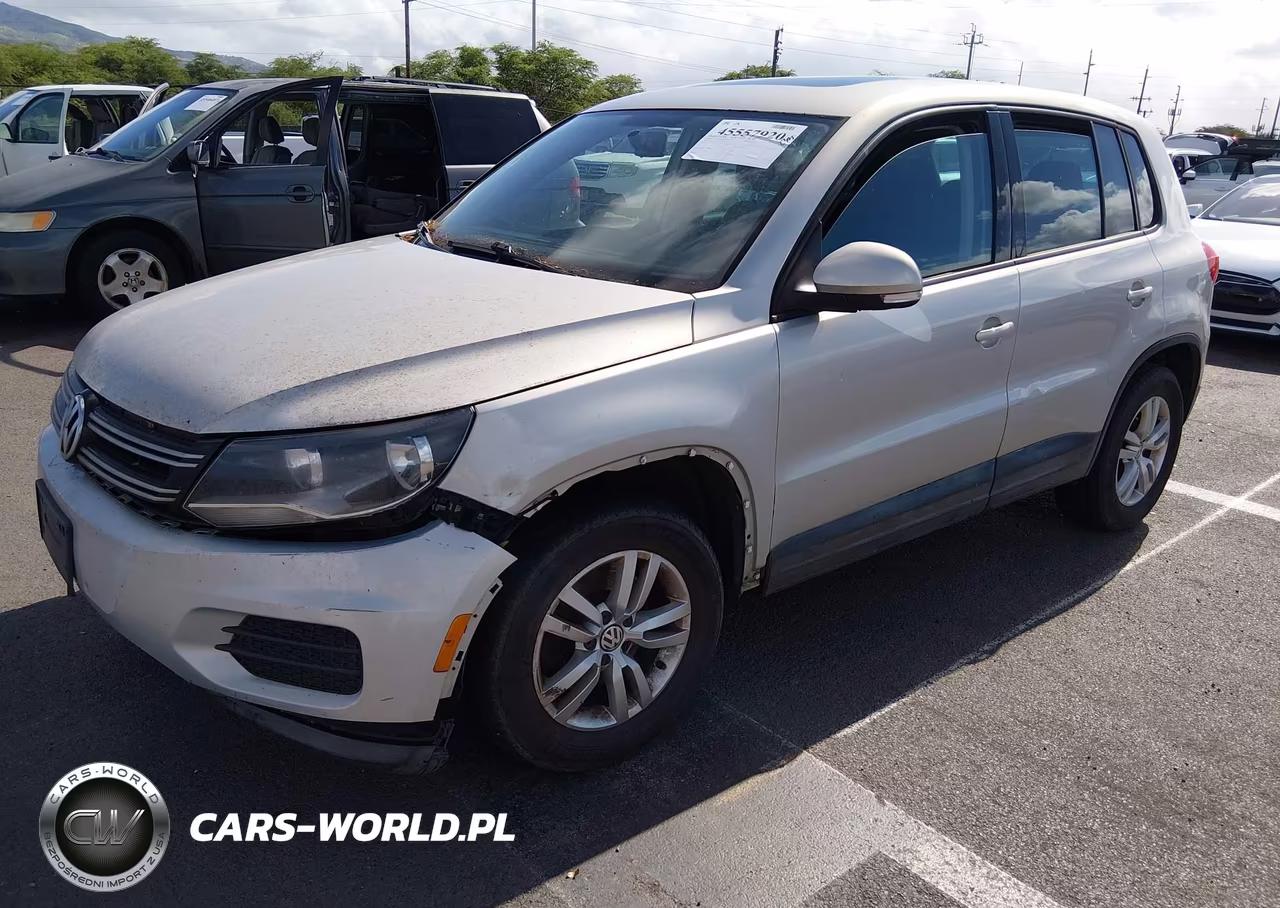 2013 Volkswagen Tiguan S VIN:WVGAV3AX2DW615974 - 2