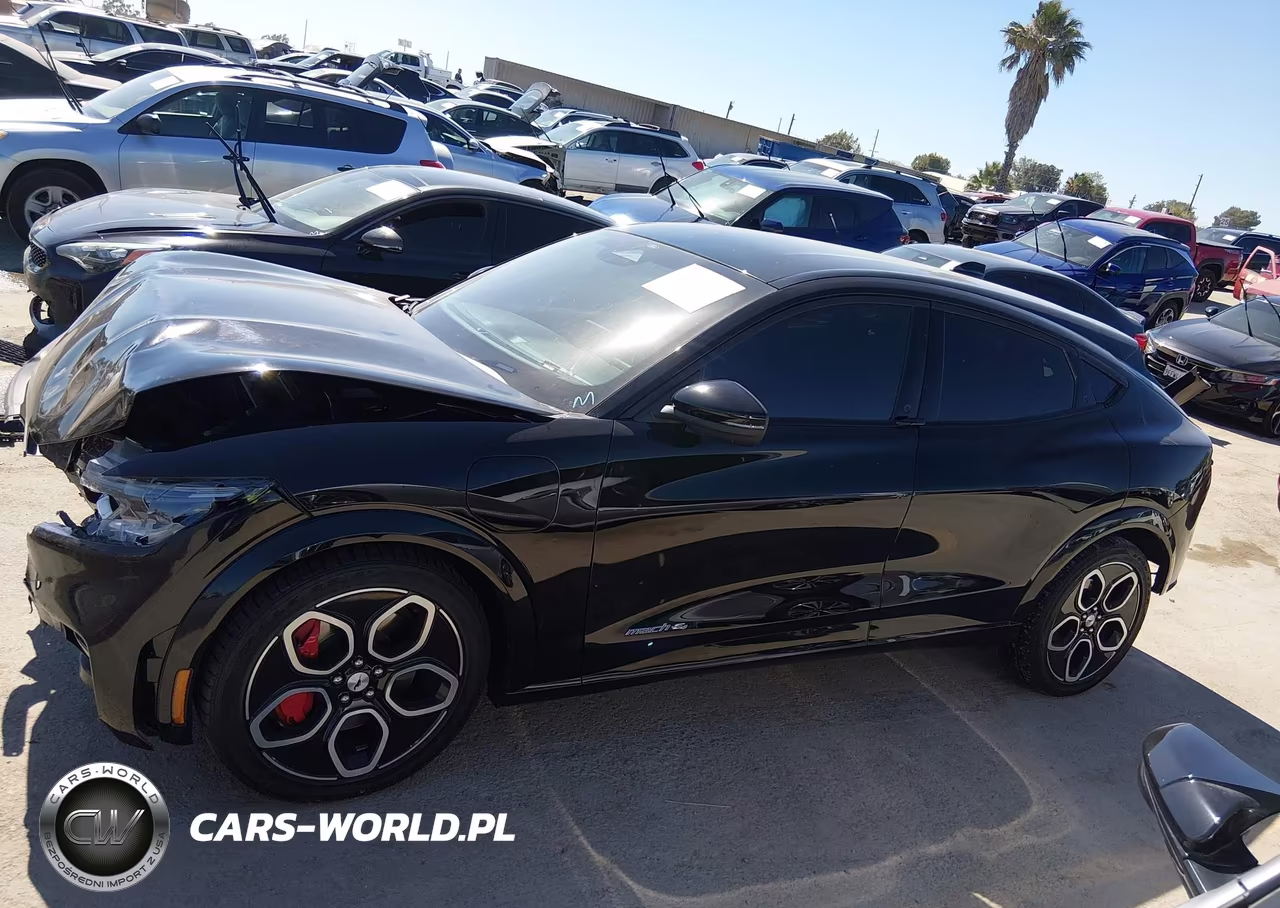 2021 Ford Mustang Mach-E Gt VIN:3FMTK4SE1MME00560 - 15