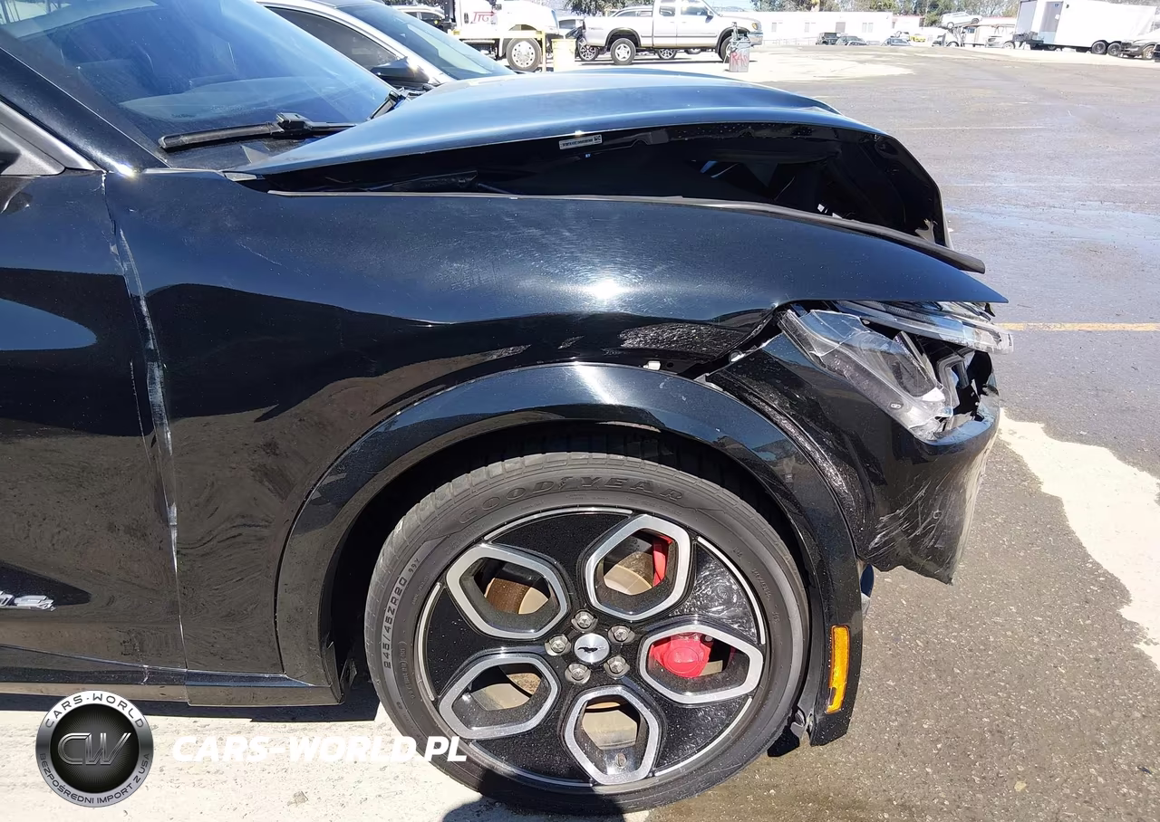 2021 Ford Mustang Mach-E Gt VIN:3FMTK4SE1MME00560 - 6