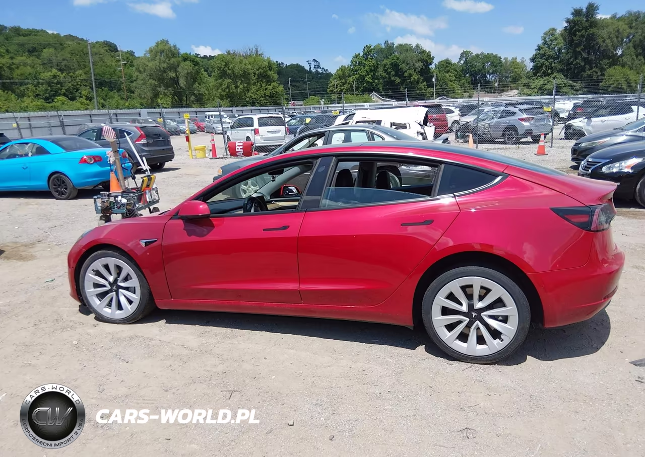 2022 Tesla Model 3 Long Range Dual Motor All-Wheel Drive VIN:5YJ3E1EB4NF187976 - 12