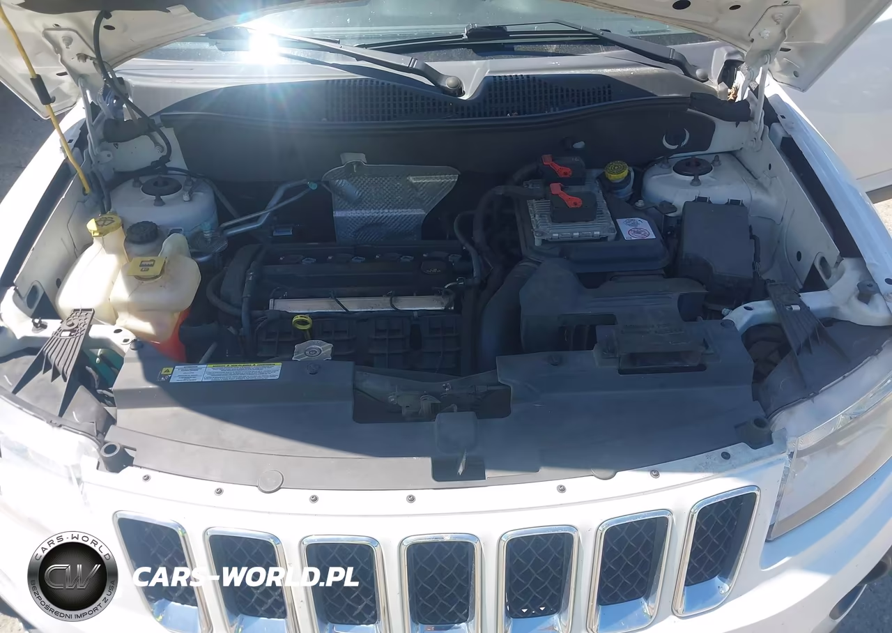 2011 Jeep Compass VIN:1J4NT1FA4BD243187 - 10