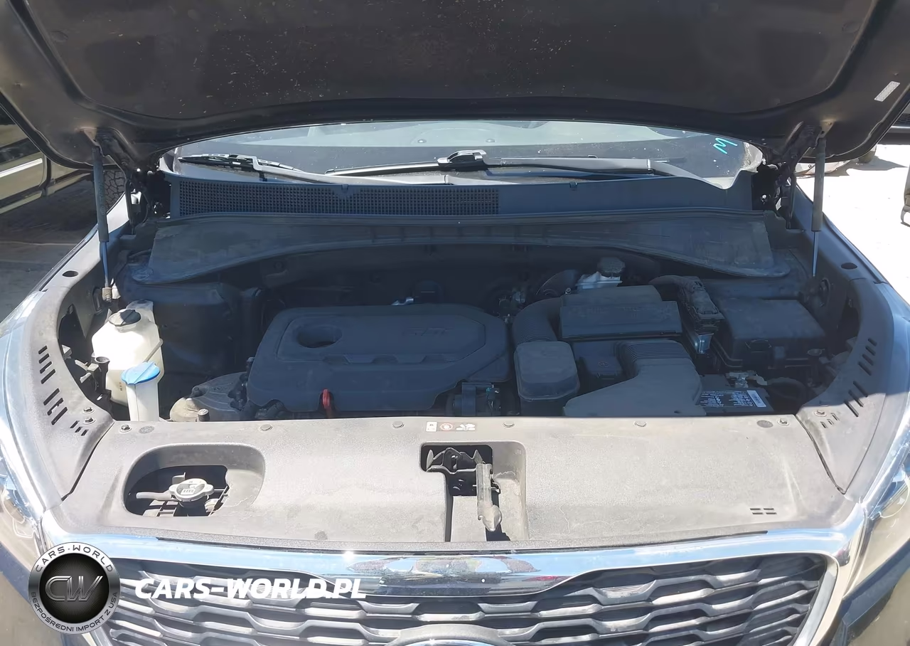 2019 Kia Sorento 2.4L L VIN:5XYPG4A37KG593489 - 10