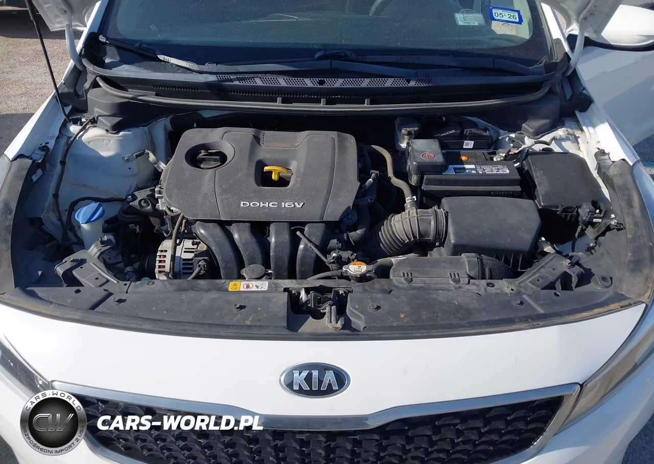 2018 Kia Forte Lx VIN:3KPFK4A7XJE235439 - 10