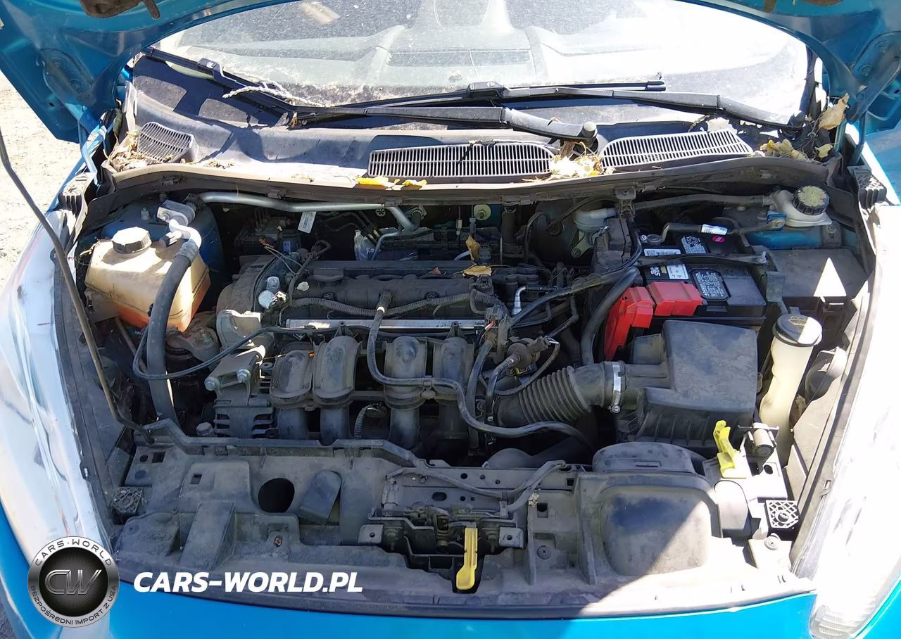 2015 Ford Fiesta Se VIN:3FADP4BJ0FM115235 - 10