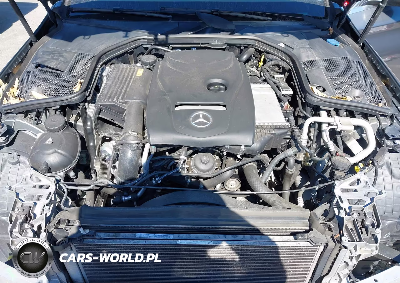 2017 Mercedes-Benz C 300 VIN:55SWF4JB2HU182375 - 10