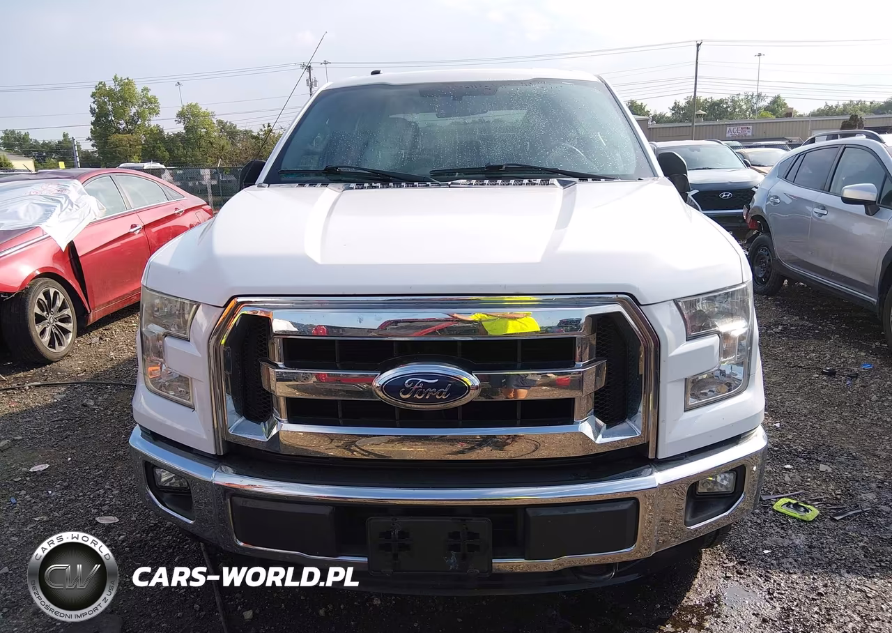 2016 Ford F-150 King Ranch-Lariat-Limited-Platinum-Xl-Xlt VIN:1FTEW1EGXGFA23101 - 12