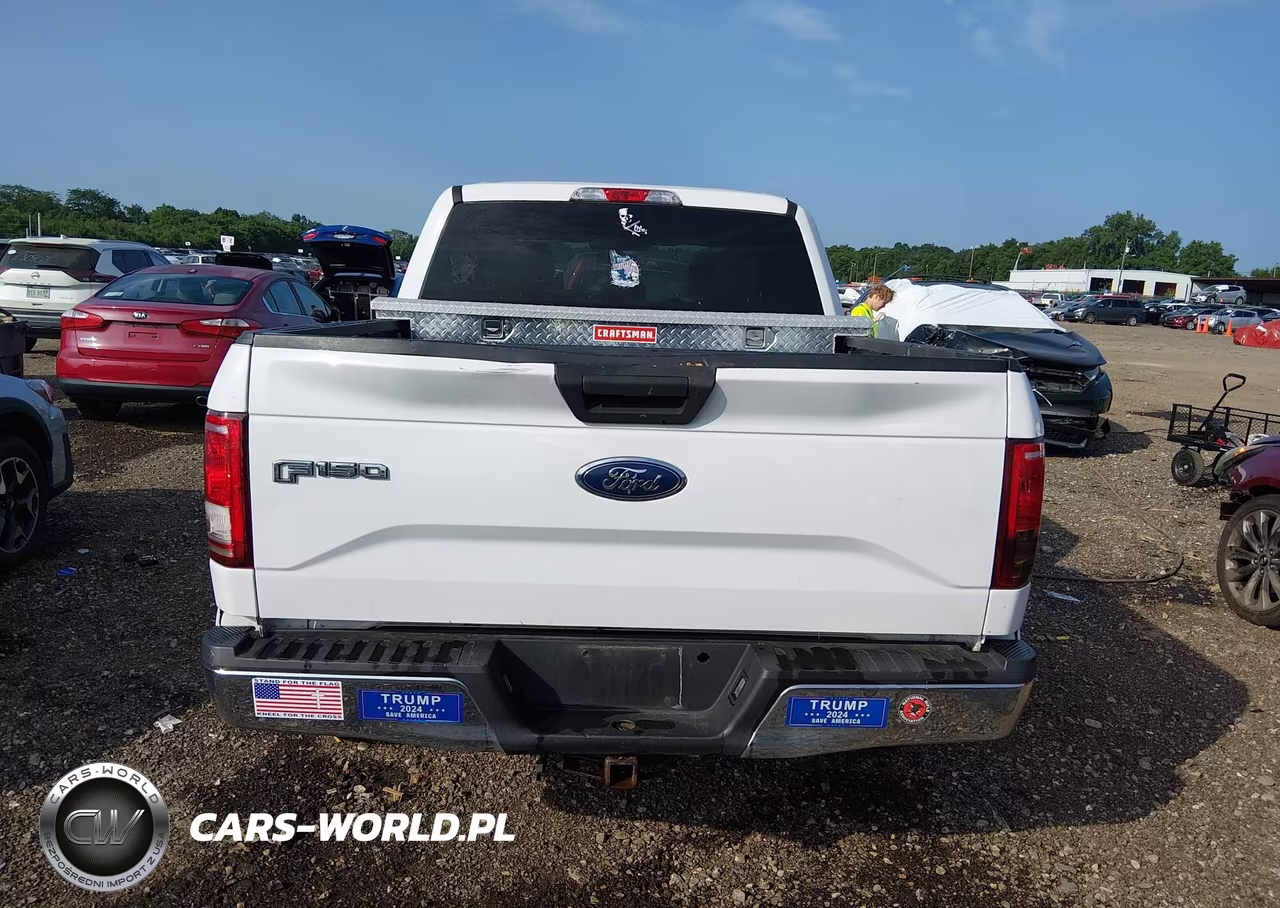 2016 Ford F-150 King Ranch-Lariat-Limited-Platinum-Xl-Xlt VIN:1FTEW1EGXGFA23101 - 16