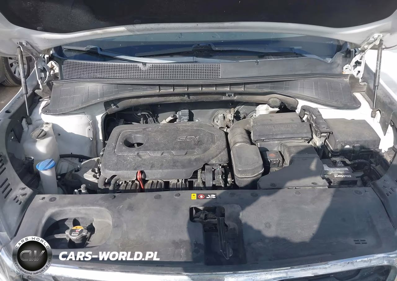 2019 Kia Sorento 2.4L L VIN:5XYPG4A39KG605156 - 10