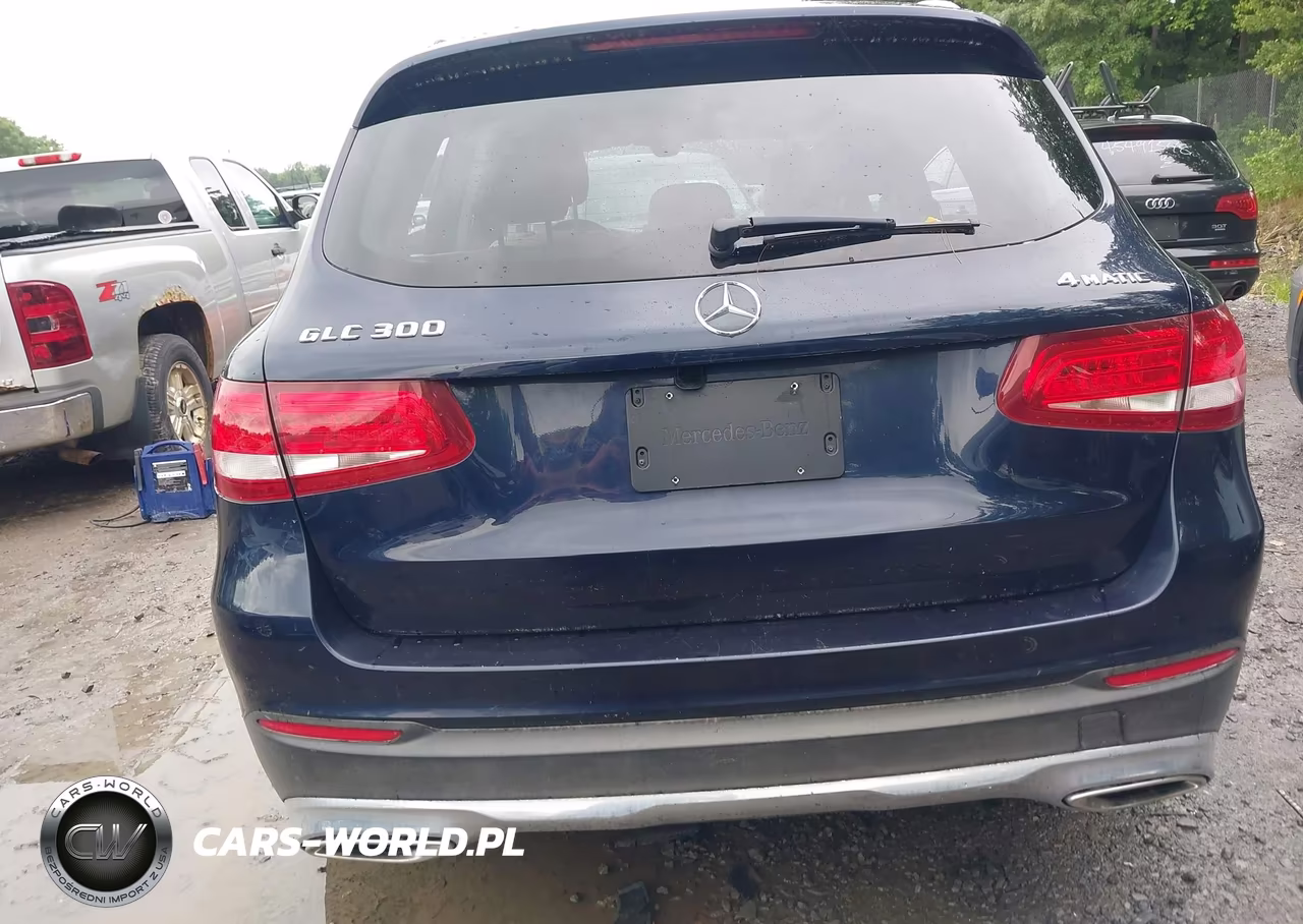 2016 Mercedes-Benz Glc 300 4Matic VIN:WDC0G4KB9GF052276 - 16