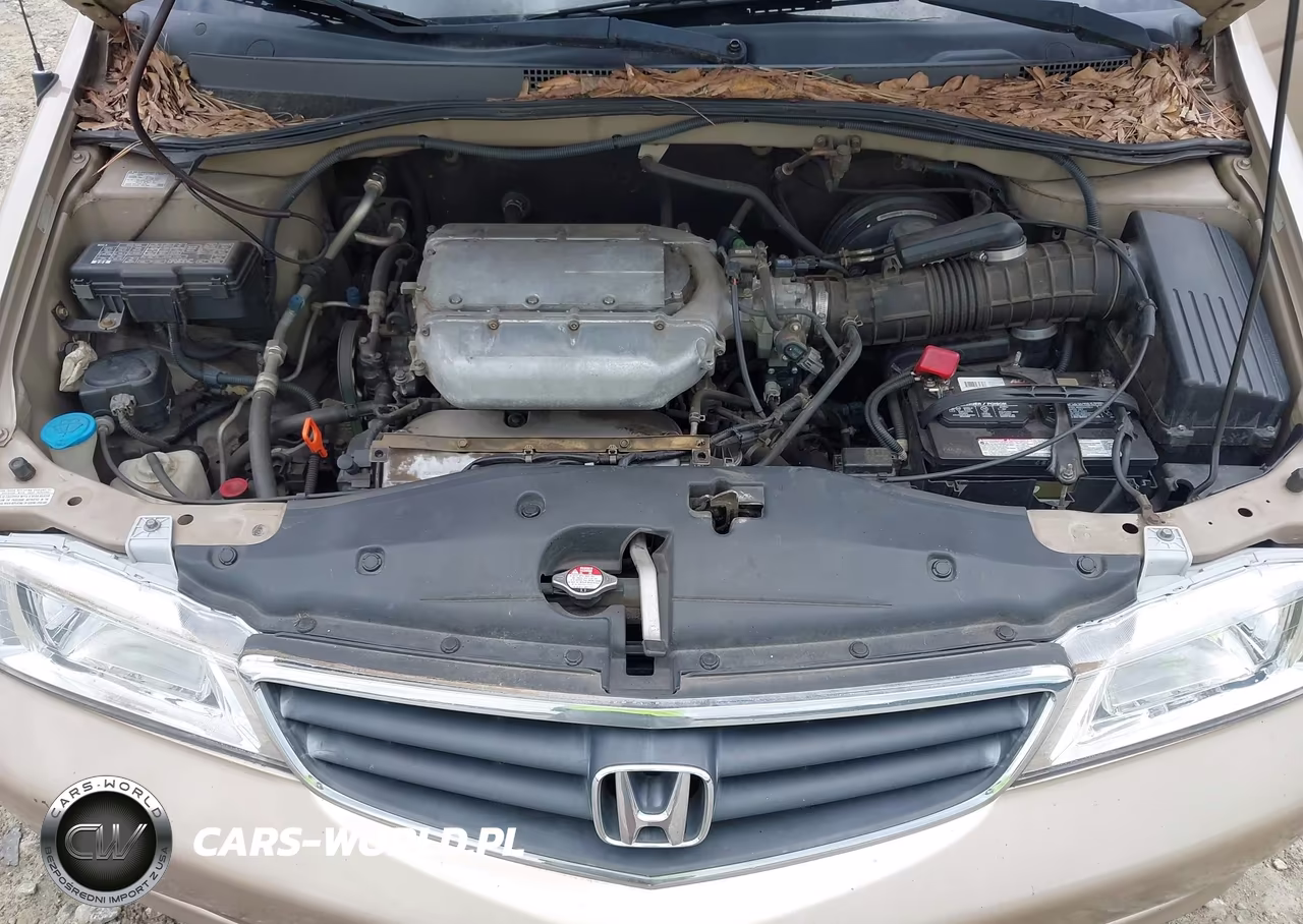 2002 Honda Odyssey Ex-L VIN:2HKRL189X2H580760 - 10