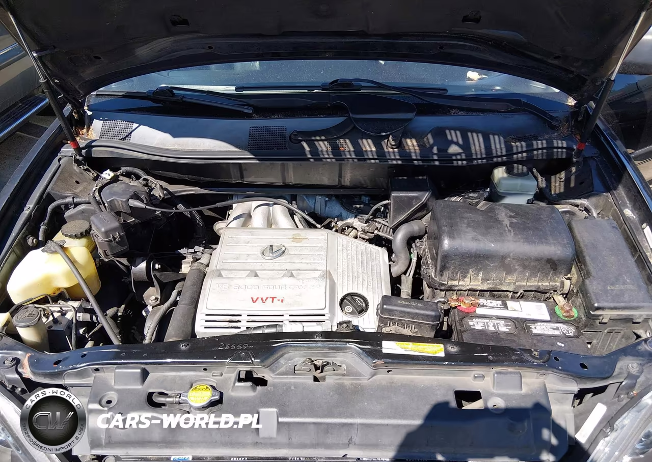 2003 Lexus Rx 300 VIN:JTJHF10U530306686 - 10