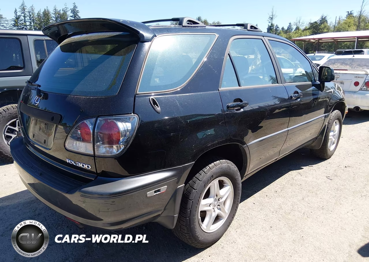 2003 Lexus Rx 300 VIN:JTJHF10U530306686 - 4
