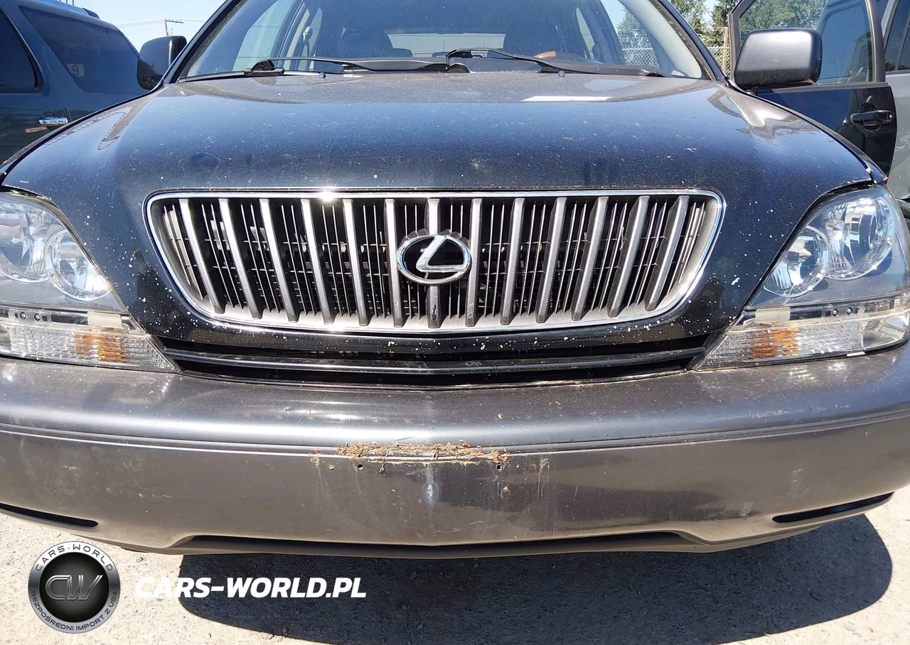 2003 Lexus Rx 300 VIN:JTJHF10U530306686 - 6
