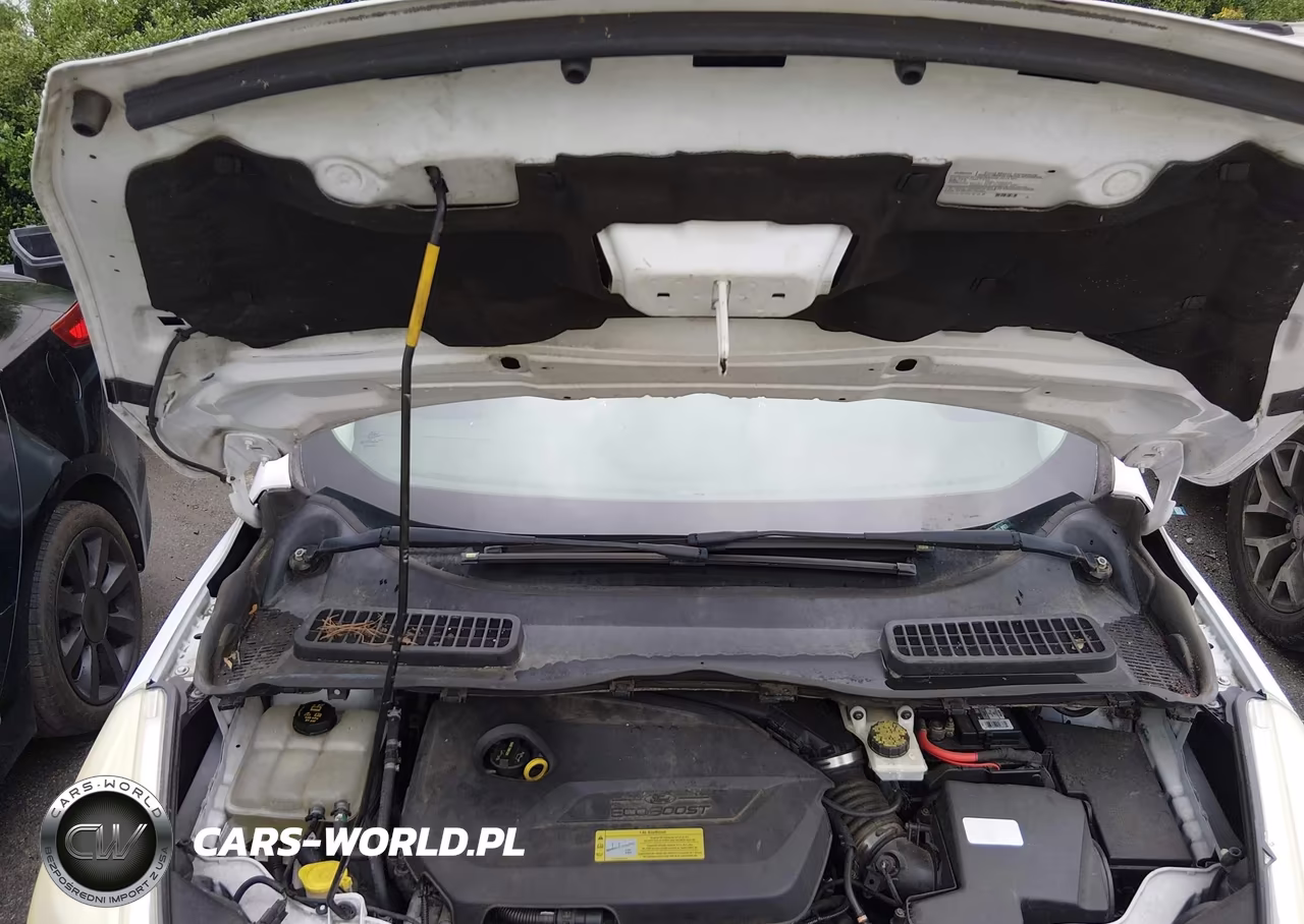 2014 Ford Escape Se VIN:1FMCU0GX4EUA23703 - 10