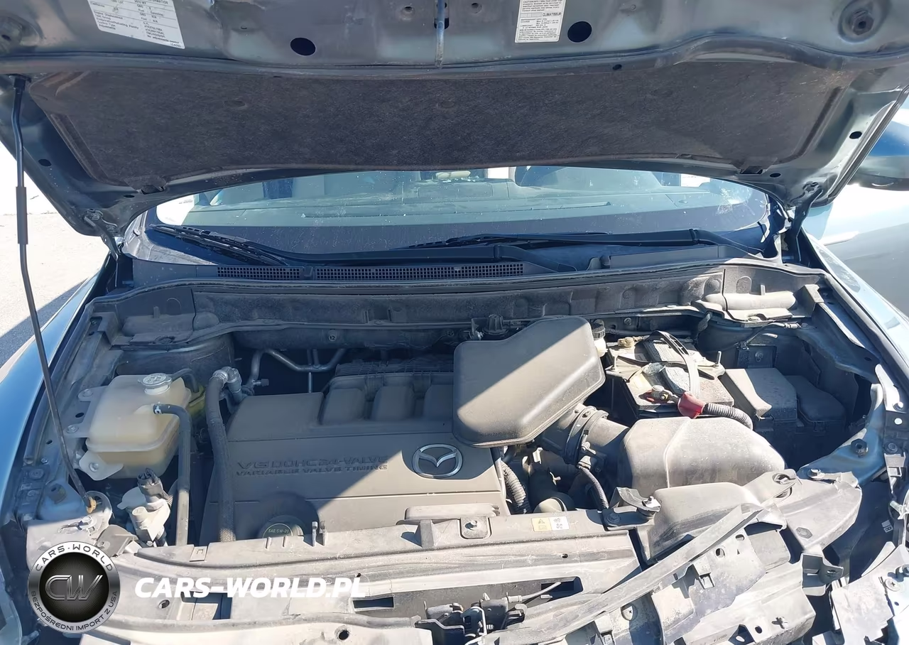 2010 Mazda Cx-9 Sport VIN:JM3TB2MA9A0225774 - 10