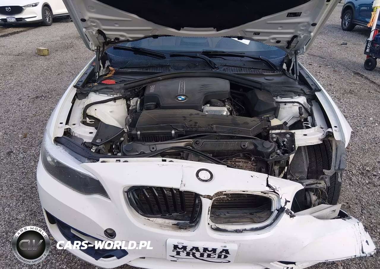 2016 BMW 228I VIN:WBA1F9C54GV545868 - 10