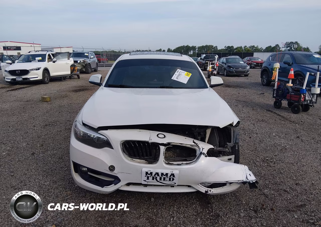 2016 BMW 228I VIN:WBA1F9C54GV545868 - 12