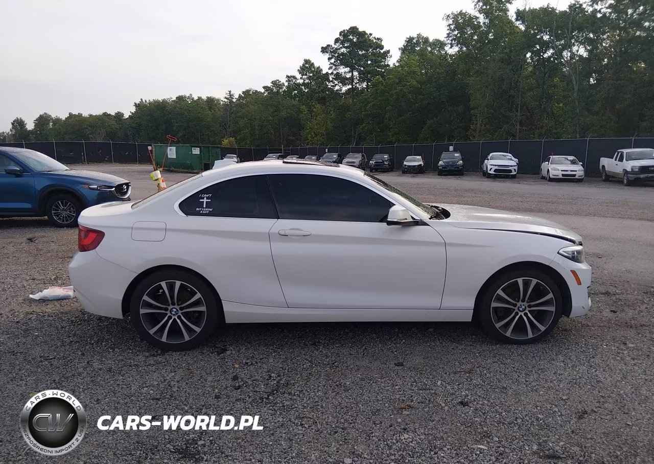 2016 BMW 228I VIN:WBA1F9C54GV545868 - 13