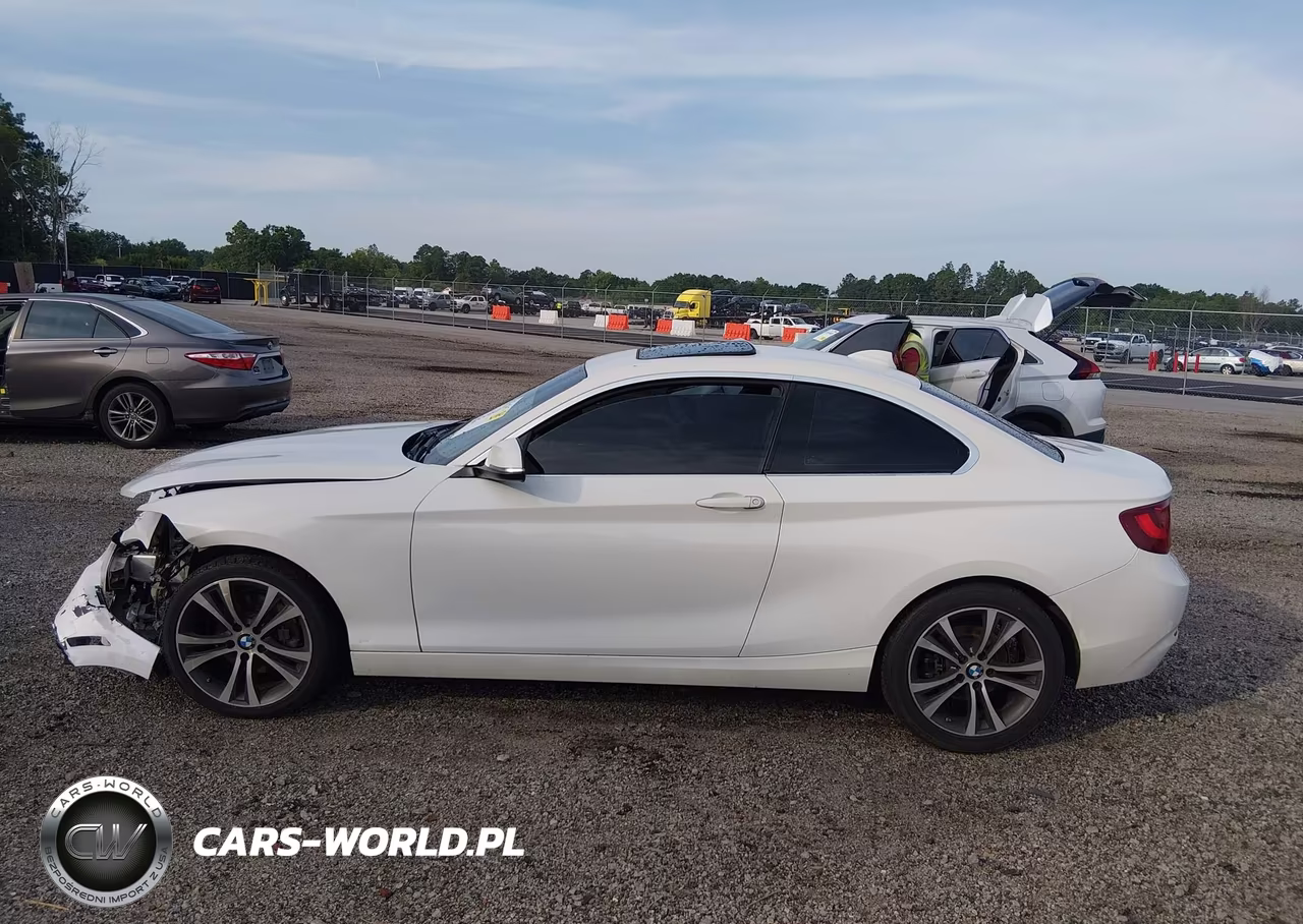 2016 BMW 228I VIN:WBA1F9C54GV545868 - 14