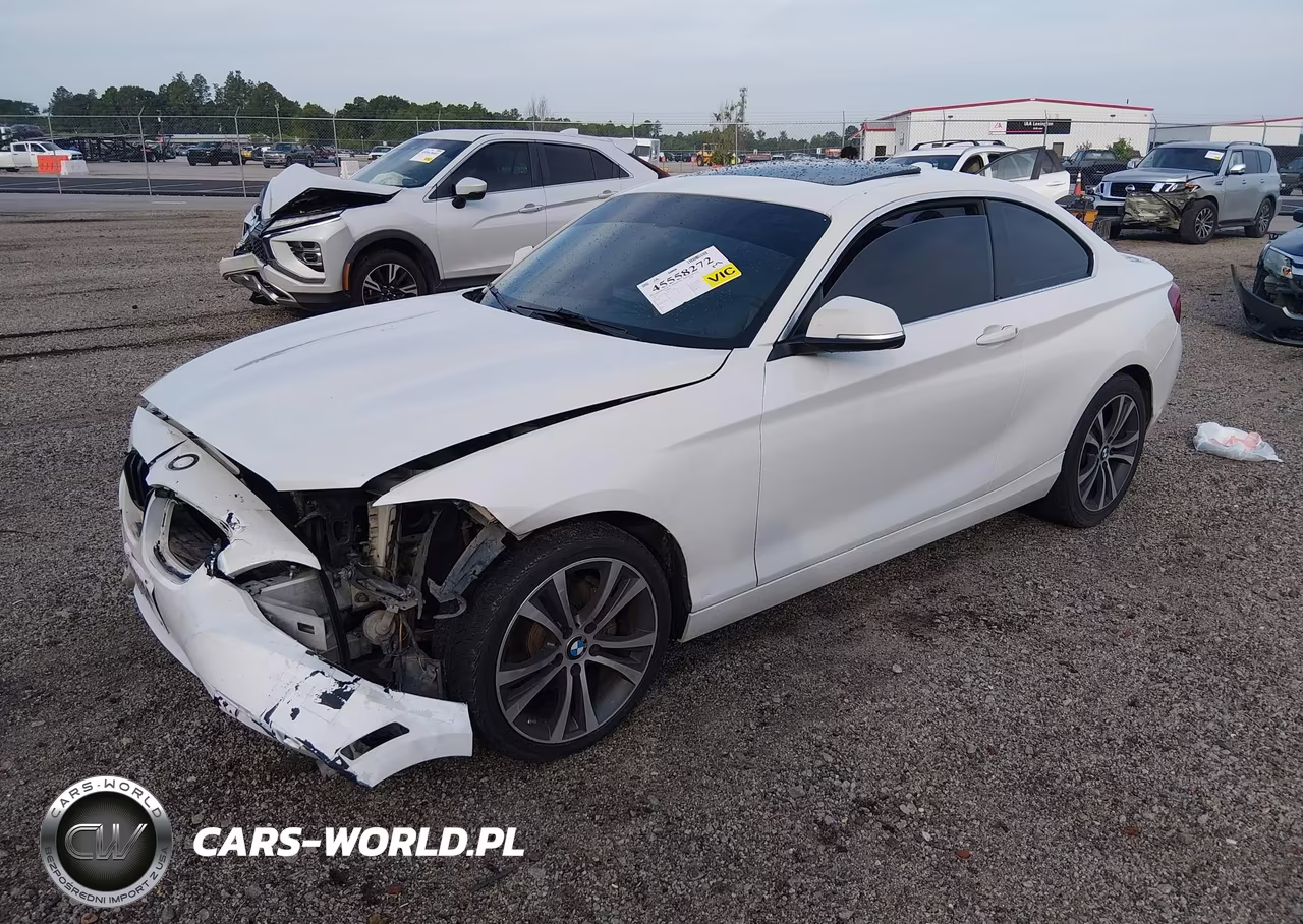 2016 BMW 228I VIN:WBA1F9C54GV545868 - 2
