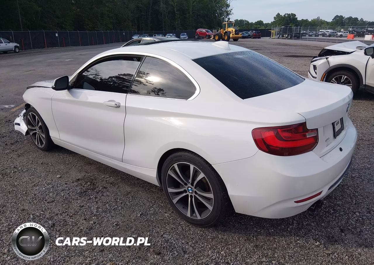 2016 BMW 228I VIN:WBA1F9C54GV545868 - 3