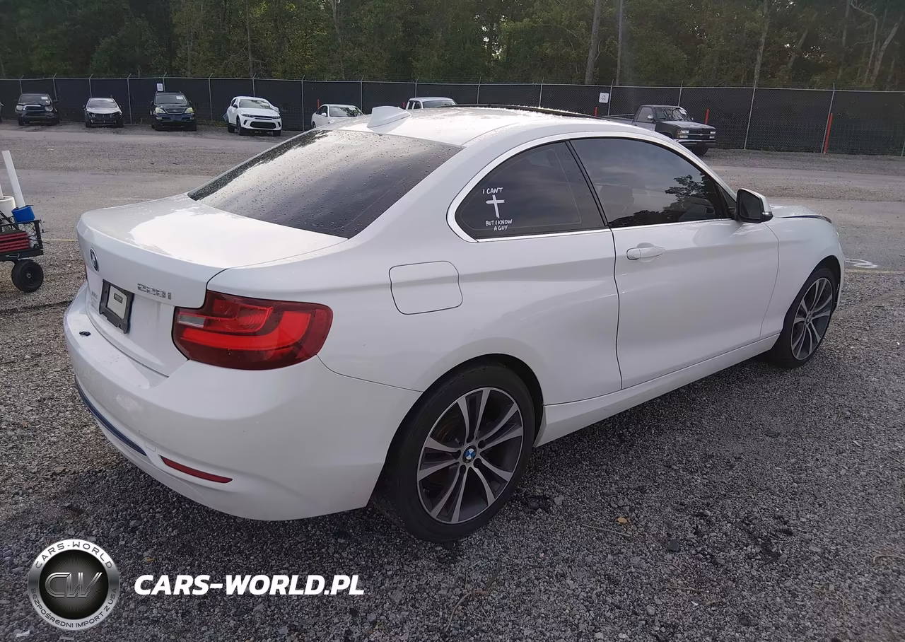 2016 BMW 228I VIN:WBA1F9C54GV545868 - 4