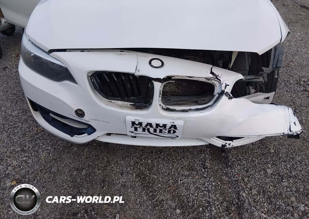 2016 BMW 228I VIN:WBA1F9C54GV545868 - 6